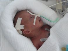 Foto von Saskia