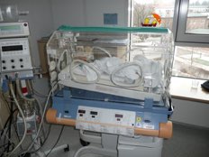 Foto von Saskia