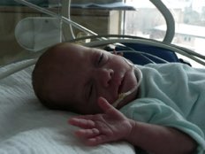 Foto von Saskia